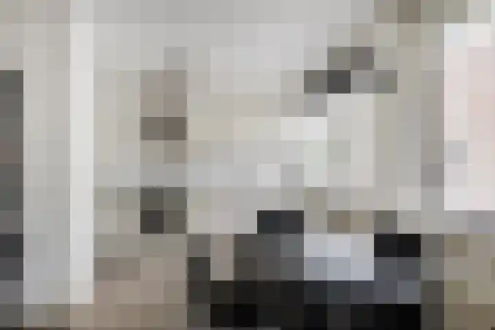 Groendaalsteeg 20 Haarlem thumbnail 7