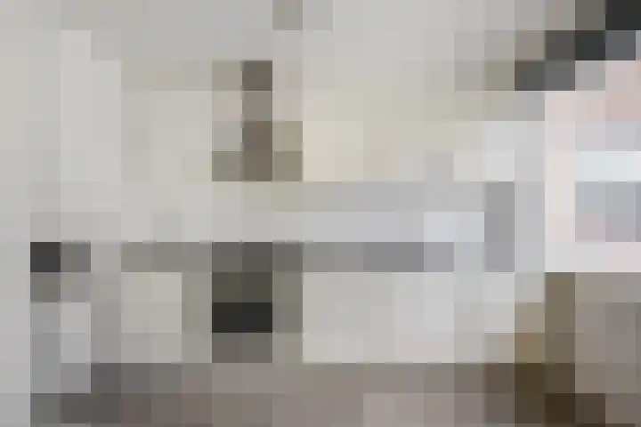 Groendaalsteeg 20 Haarlem thumbnail 8
