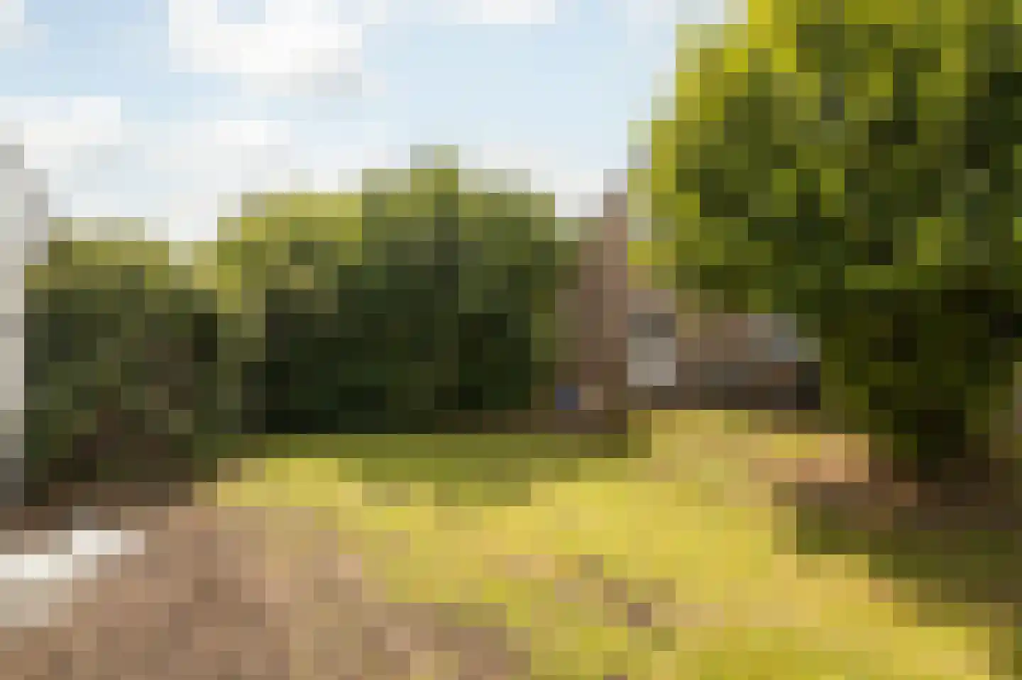 Groendalseweg 63 Bleiswijk thumbnail 20