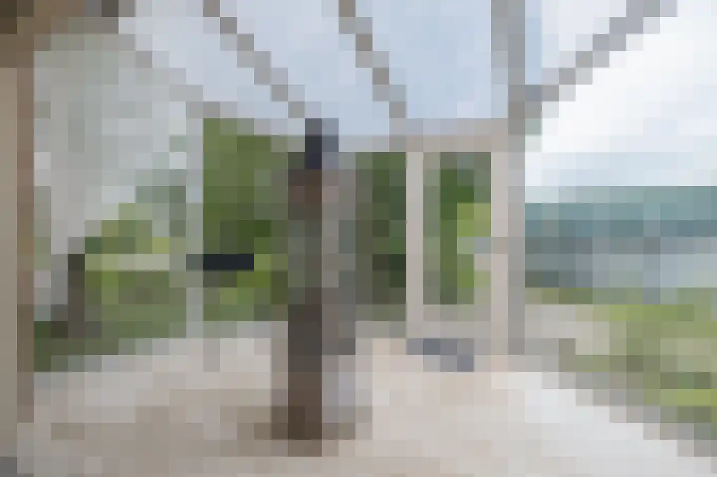 Groendalseweg 63 Bleiswijk thumbnail 4