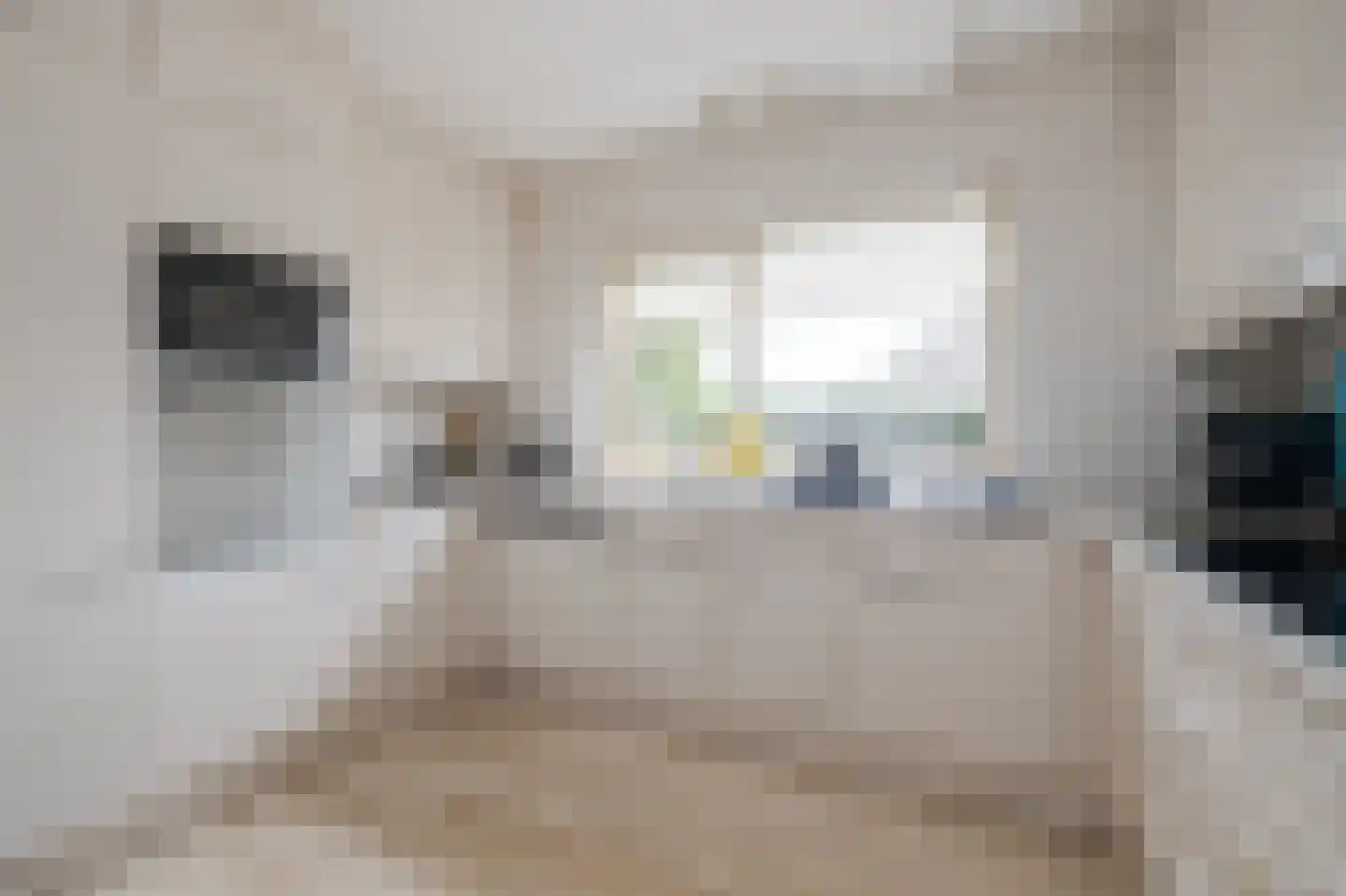 Groendalseweg 63 Bleiswijk thumbnail 5