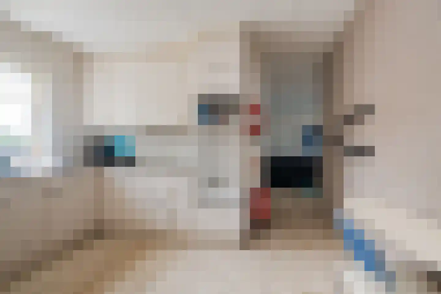 Groendalseweg 63 Bleiswijk thumbnail 6