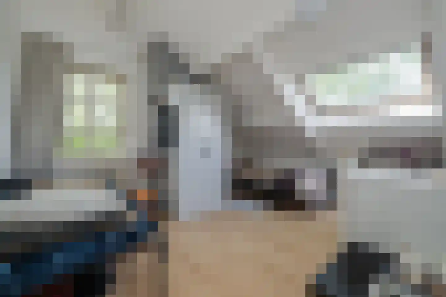 Groendalseweg 67 Bleiswijk thumbnail 15