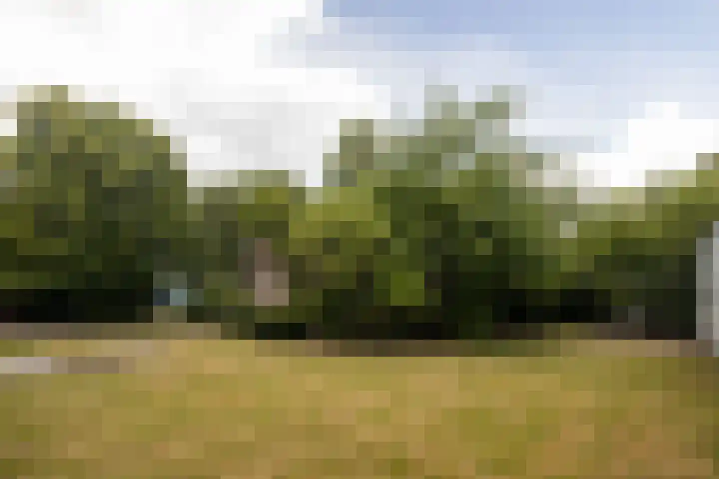 Groendalseweg 67 Bleiswijk thumbnail 20