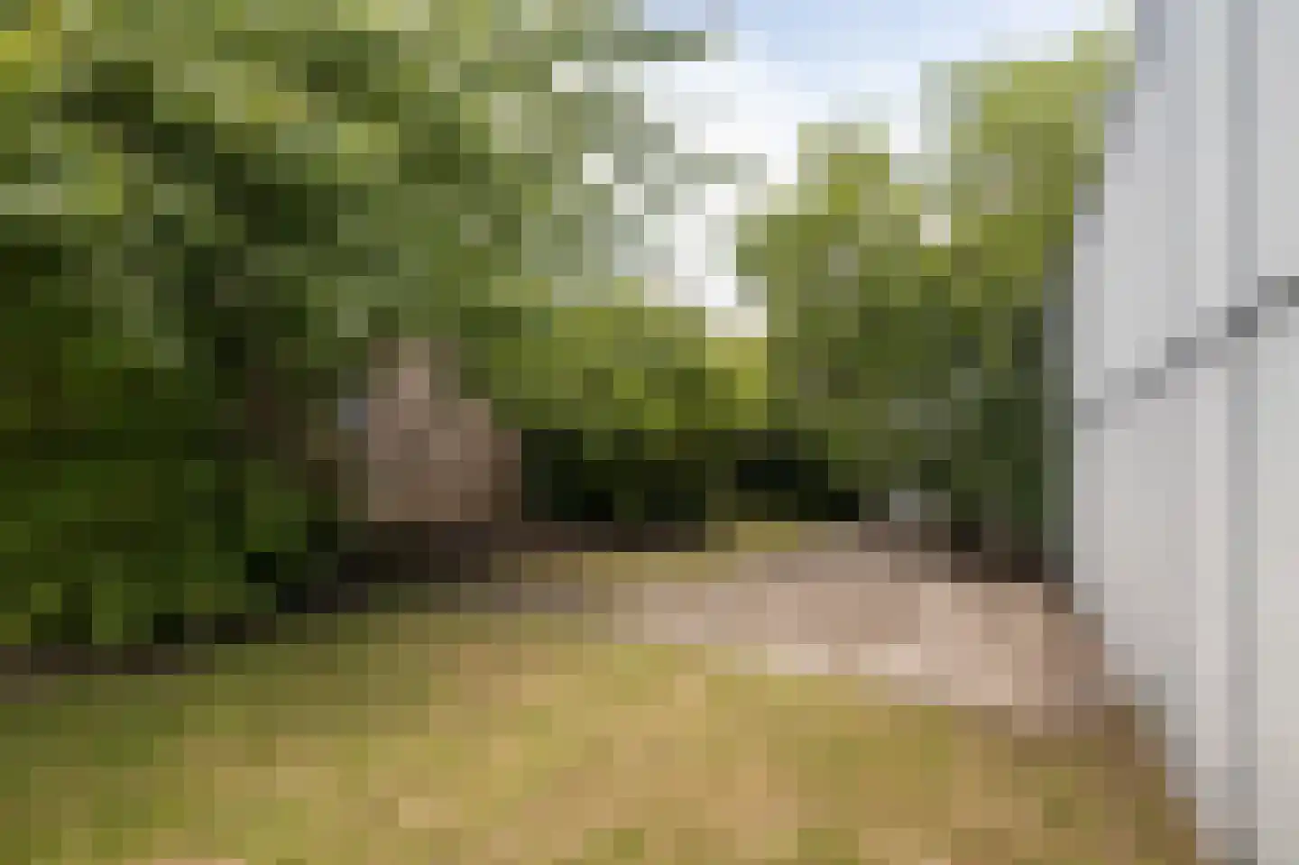 Groendalseweg 67 Bleiswijk thumbnail 21