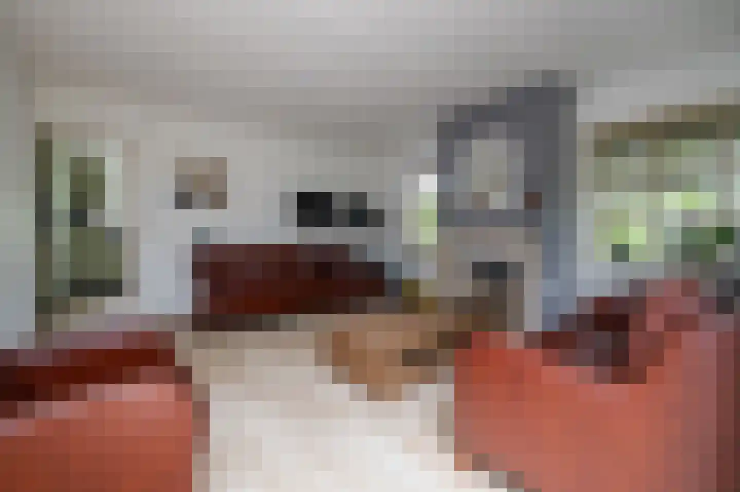 Groendalseweg 67 Bleiswijk thumbnail 5