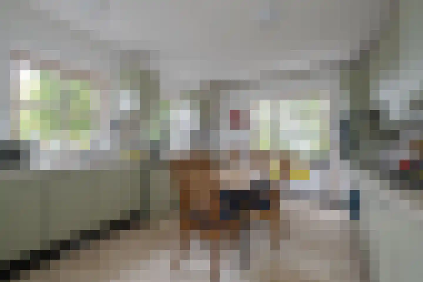 Groendalseweg 67 Bleiswijk thumbnail 6