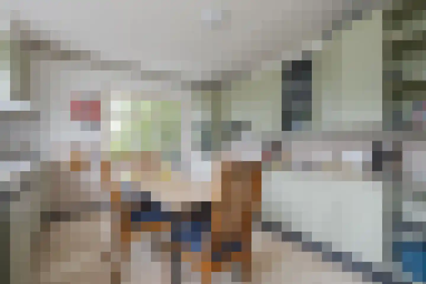 Groendalseweg 67 Bleiswijk thumbnail 7