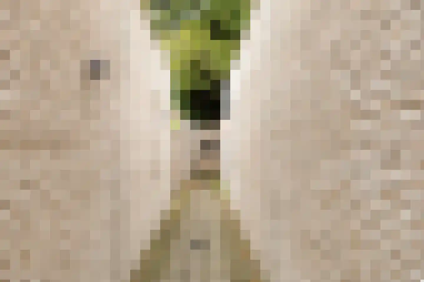 Groene Akker 1 Eindhoven thumbnail 25