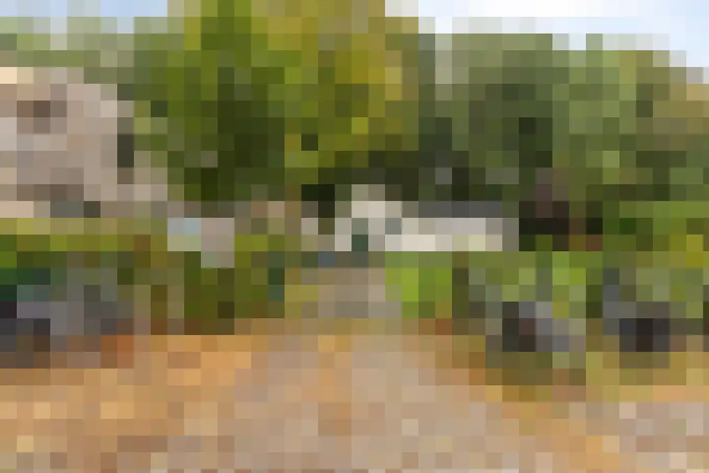 Groene Akker 1 Eindhoven thumbnail 27