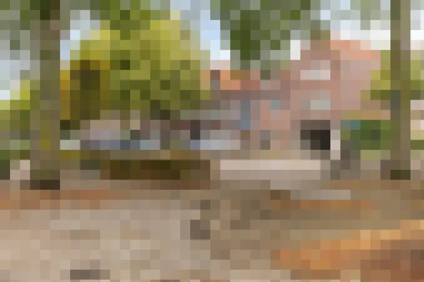 Groene Akker 1 Eindhoven thumbnail 29