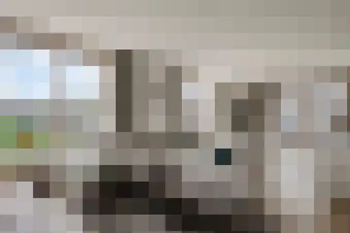 Groene Akker 17 Eindhoven thumbnail 11