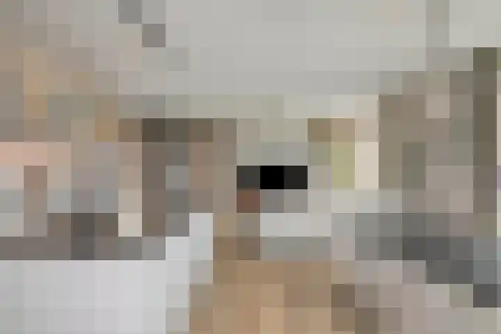 Groene Akker 17 Eindhoven thumbnail 17