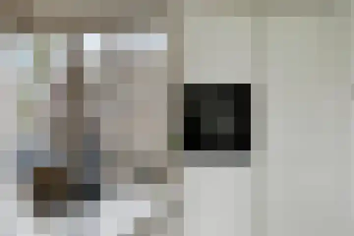 Groene Akker 17 Eindhoven thumbnail 20