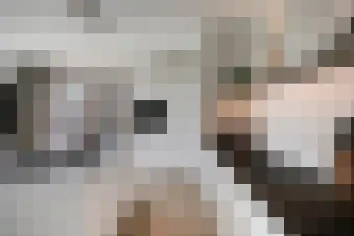 Groene Akker 17 Eindhoven thumbnail 23