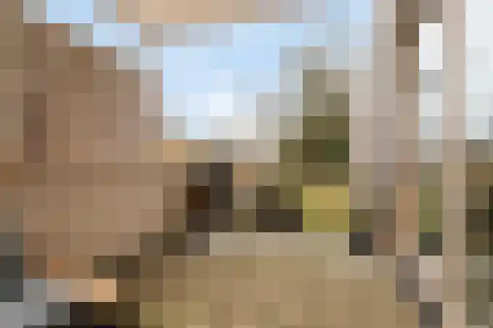 Groene Akker 17 Eindhoven thumbnail 26