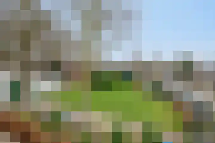 Groene Akker 17 Eindhoven thumbnail 27