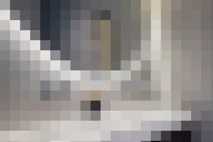 Groene Akker 17 Eindhoven thumbnail 34