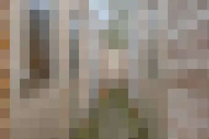Groene Akker 17 Eindhoven thumbnail 40