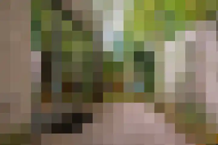 Groene Akker 25 Eindhoven thumbnail 23