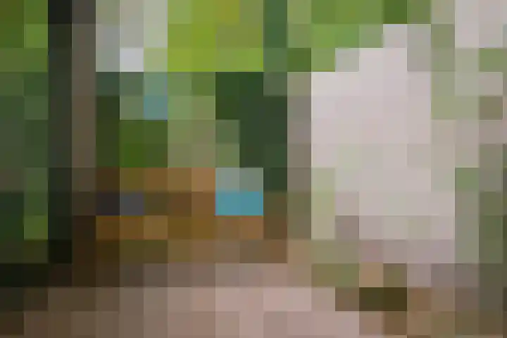 Groene Akker 25 Eindhoven thumbnail 24