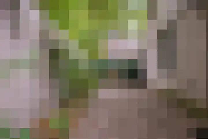 Groene Akker 25 Eindhoven thumbnail 25