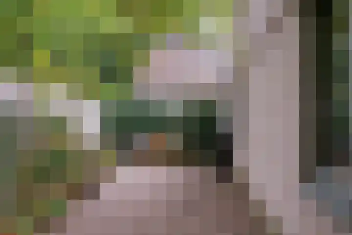 Groene Akker 25 Eindhoven thumbnail 26