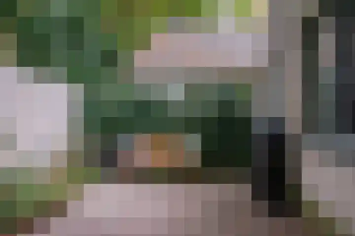 Groene Akker 25 Eindhoven thumbnail 27