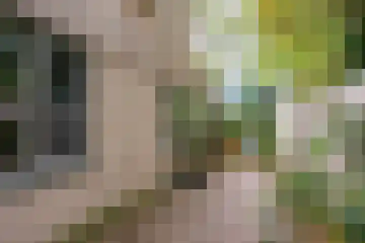 Groene Akker 25 Eindhoven thumbnail 28