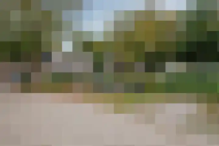 Groene Akker 25 Eindhoven thumbnail 31