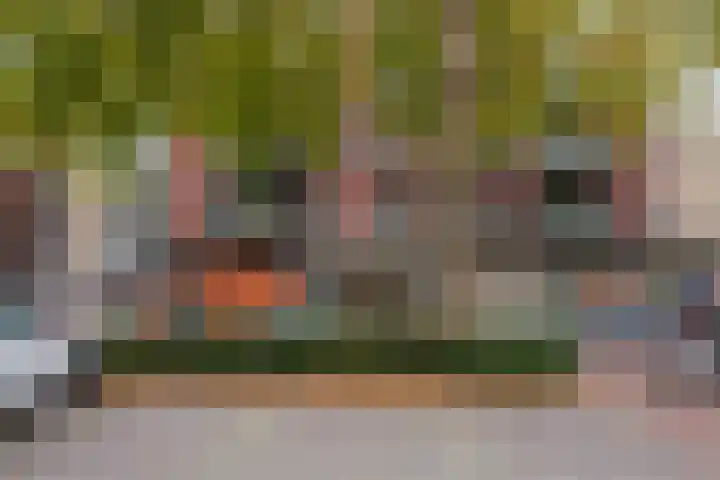 Groene Akker 25 Eindhoven thumbnail 35