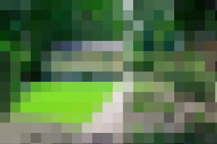 Groene Allee 2 a Ermelo thumbnail 20