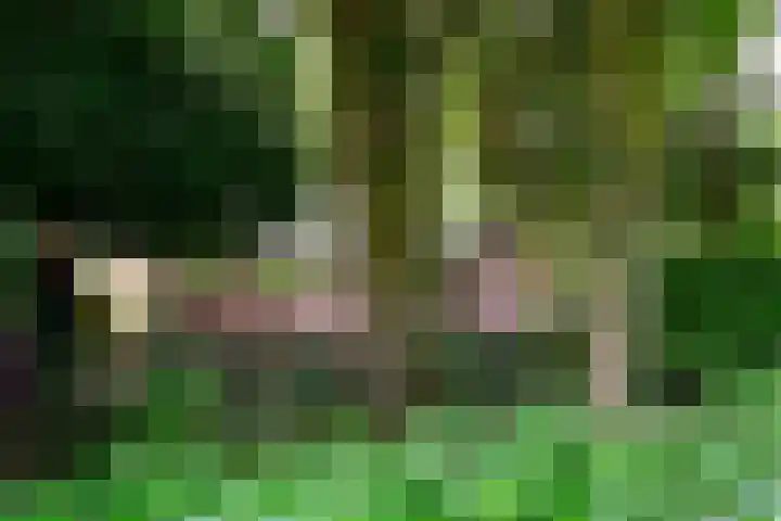Groene Allee 2 a Ermelo foto 3