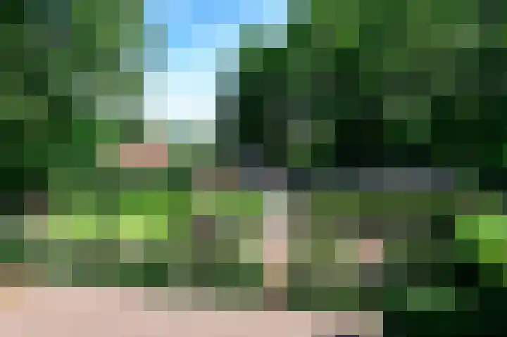 Groene Allee 2 a Ermelo thumbnail 4