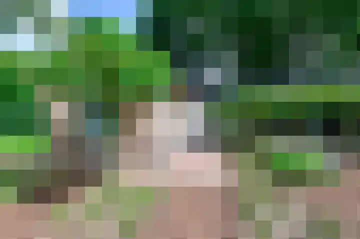 Groene Allee 2 a Ermelo thumbnail 5