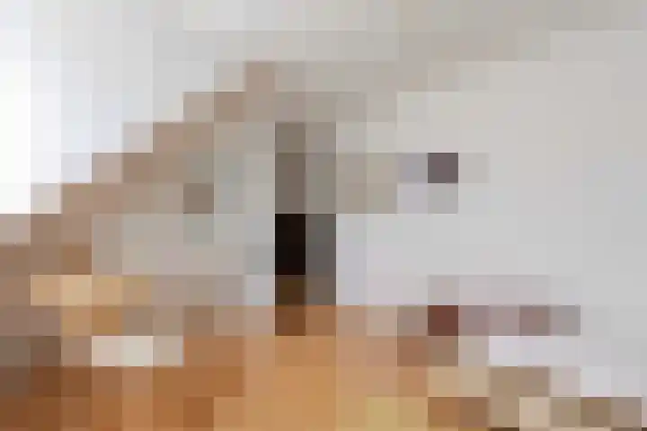 Groene Boord 1 Heerlen thumbnail 30