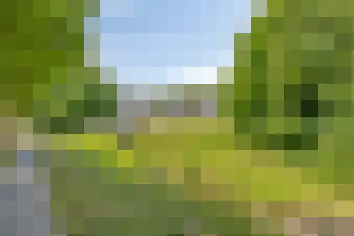 Groene Boord 11 A Heerlen thumbnail 42