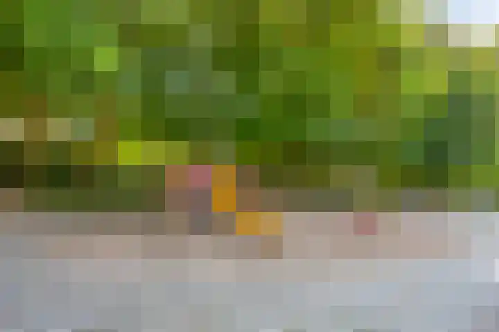 Groene Boord 11 A Heerlen thumbnail 43