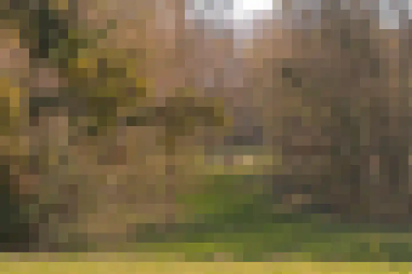Groene Boord 9 Heerlen thumbnail 25