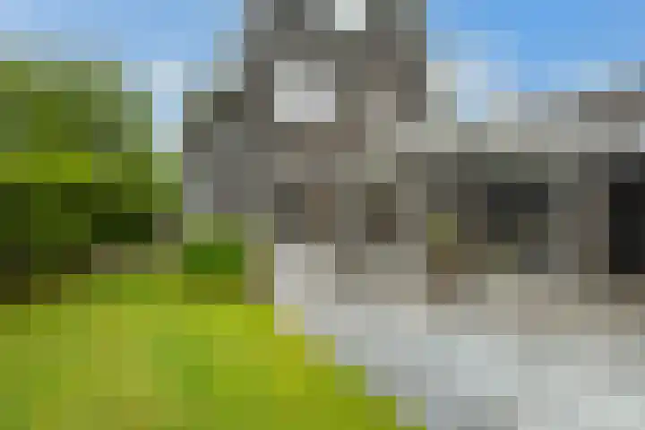 Groene Dijk 50 IJsselstein thumbnail 22