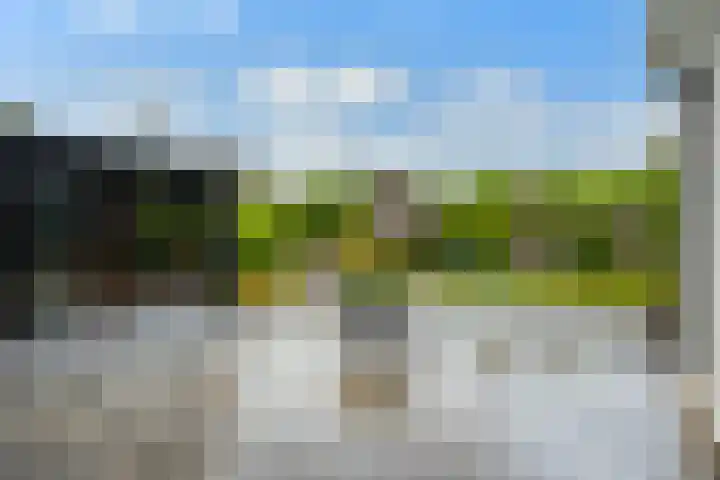 Groene Dijk 50 IJsselstein thumbnail 24