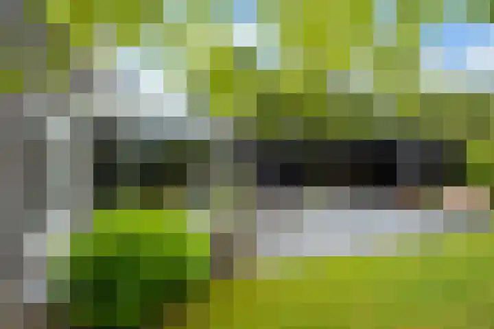 Groene Dijk 50 IJsselstein thumbnail 25