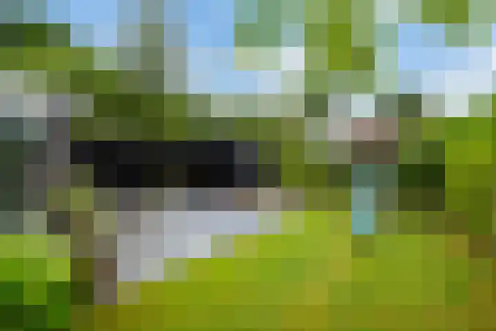Groene Dijk 50 IJsselstein thumbnail 26