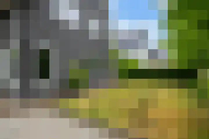 Groene Dijk 50 IJsselstein thumbnail 52