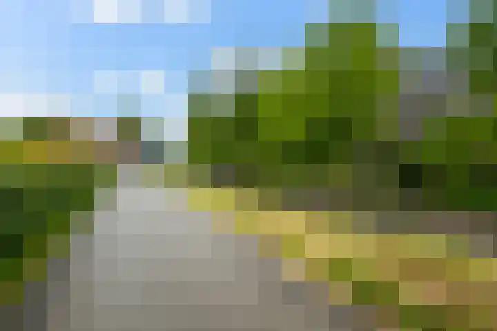Groene Dijk 50 IJsselstein thumbnail 53