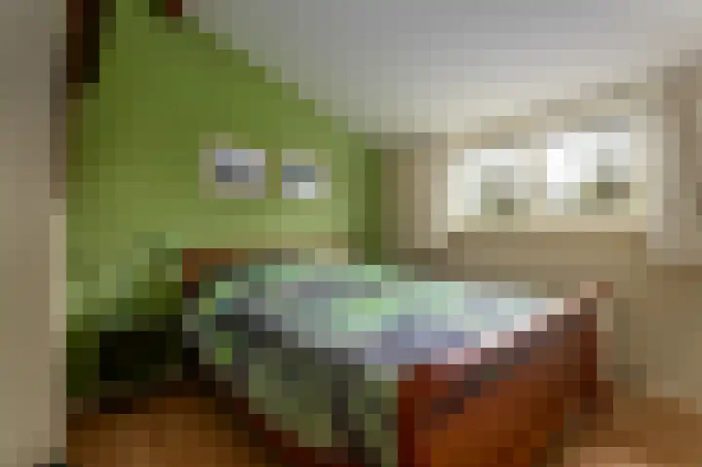 Groene Dijk N.Z. 21 Assen thumbnail 14