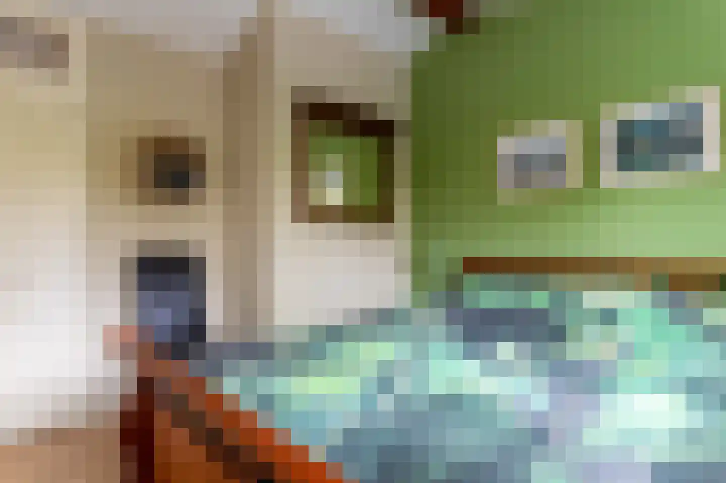 Groene Dijk N.Z. 21 Assen thumbnail 15