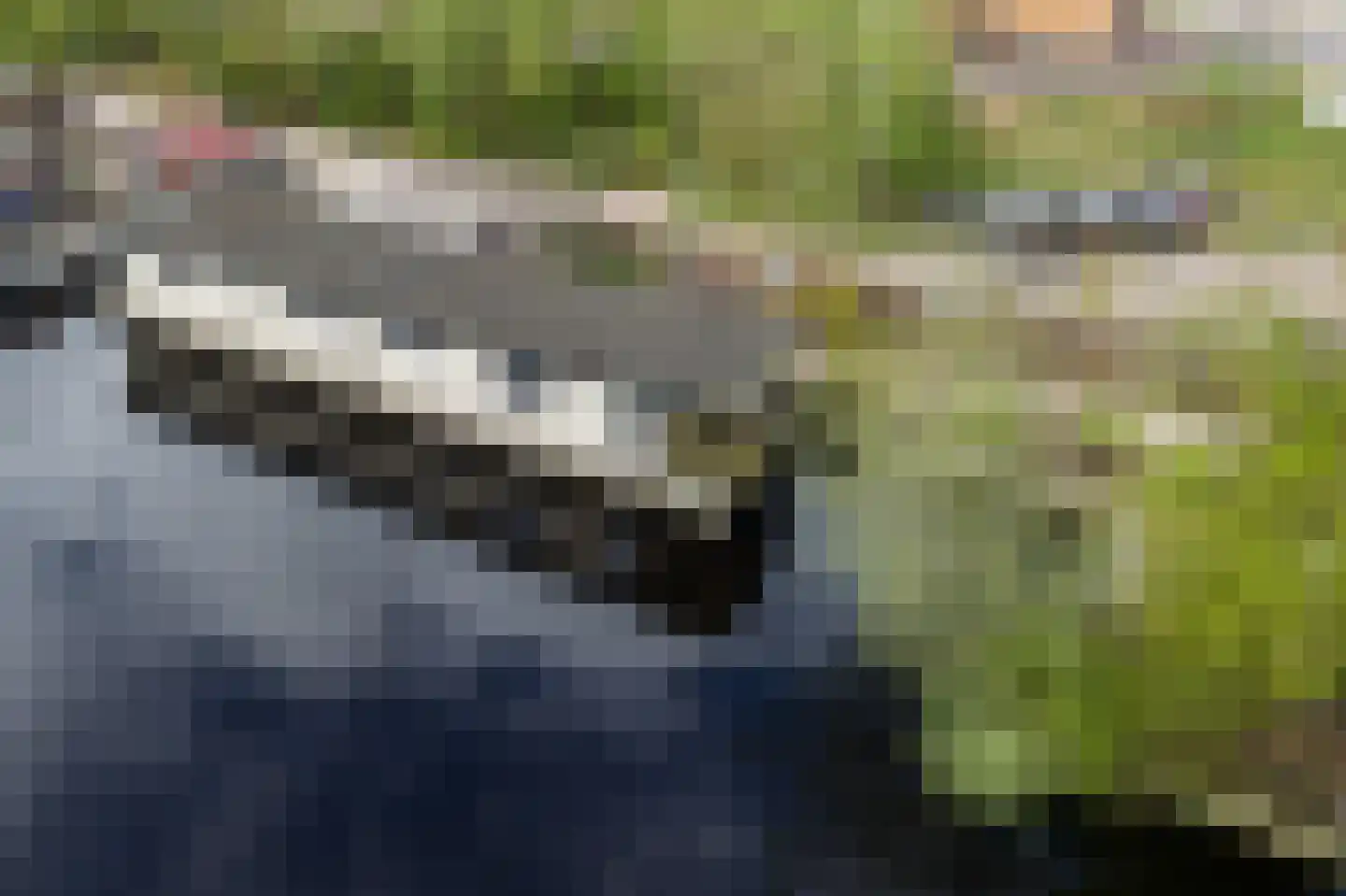 Groene Dijk N.Z. 21 Assen thumbnail 28