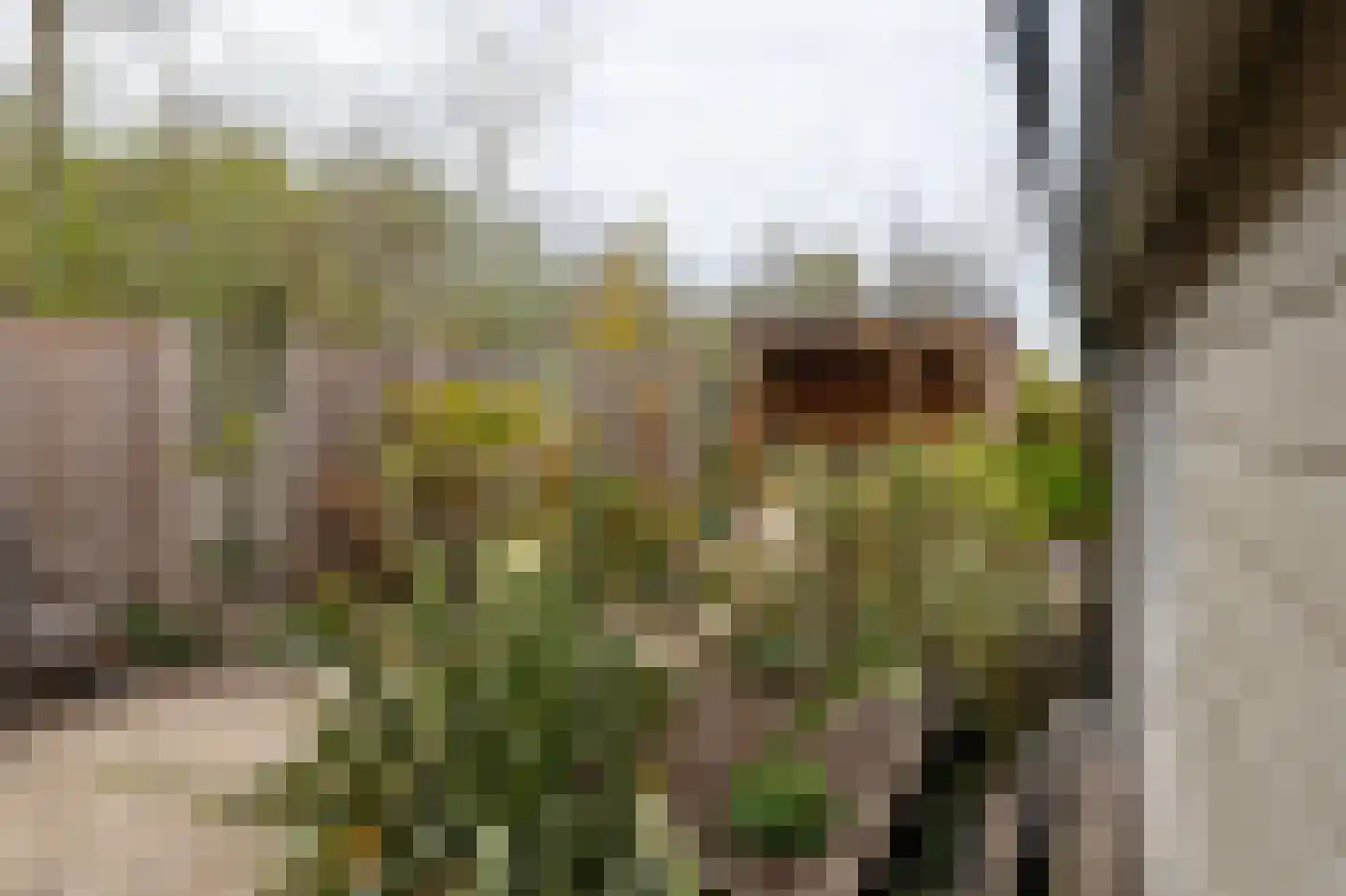 Groene Dijk N.Z. 21 Assen thumbnail 30