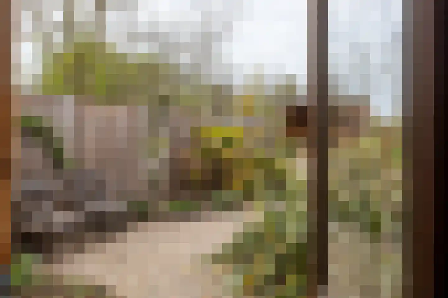 Groene Dijk N.Z. 21 Assen thumbnail 31